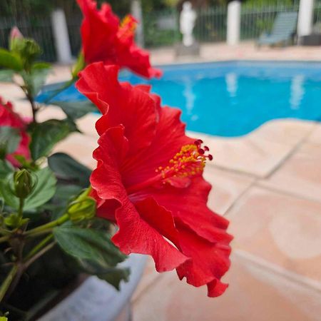 Les Jardins Du Patriarche Hotel Agde Exterior photo