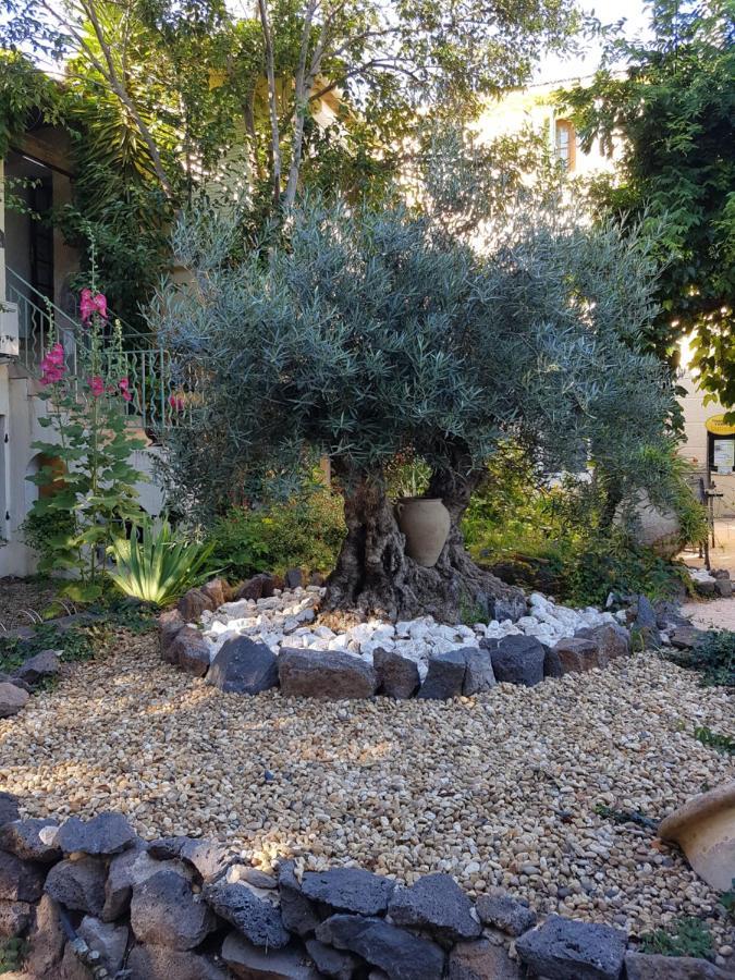 Les Jardins Du Patriarche Hotel Agde Exterior photo