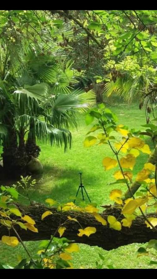 Les Jardins Du Patriarche Hotel Agde Exterior photo