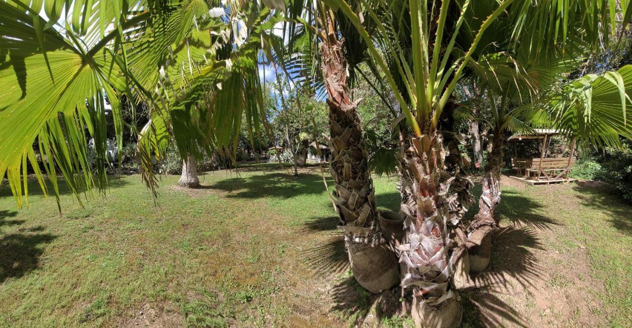 Les Jardins Du Patriarche Hotel Agde Exterior photo