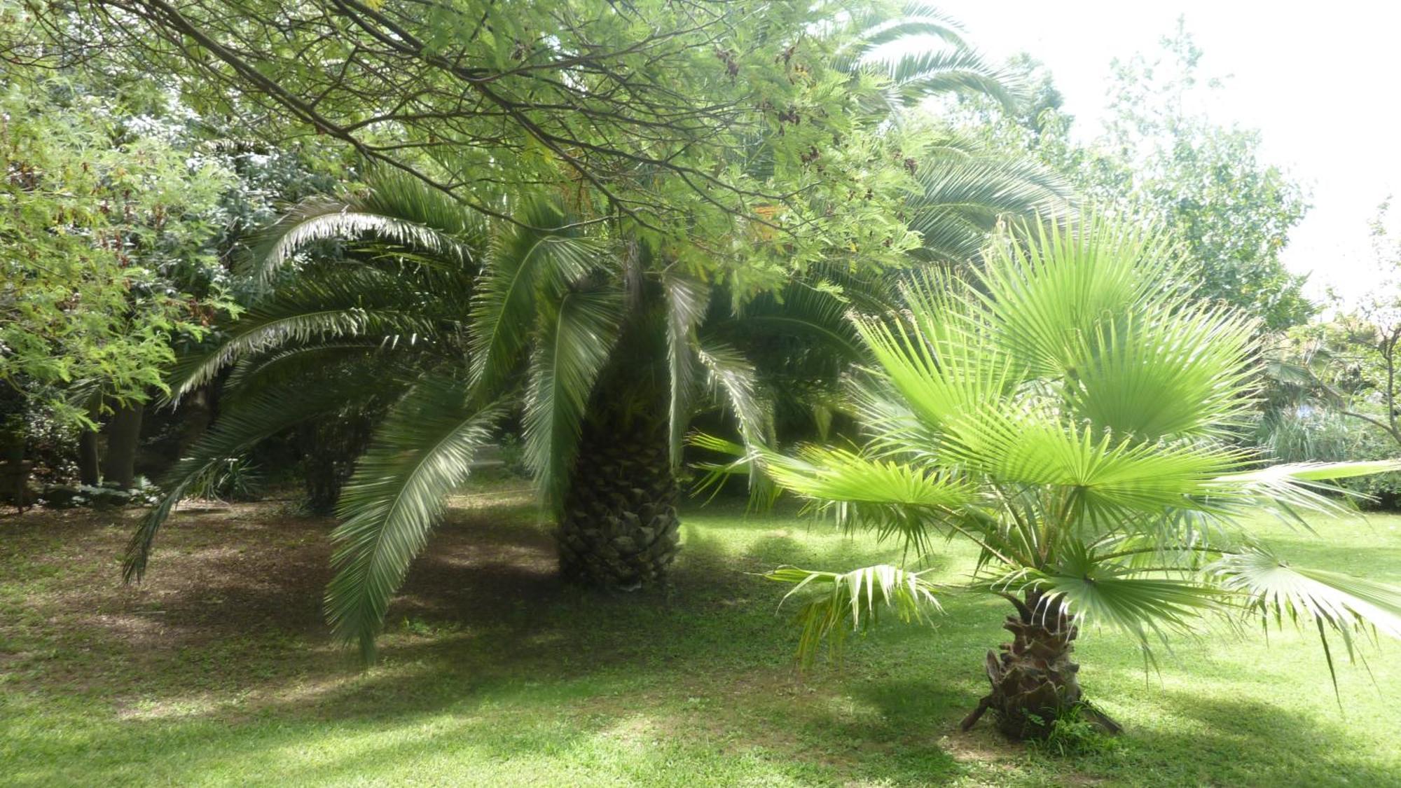 Les Jardins Du Patriarche Hotel Agde Exterior photo