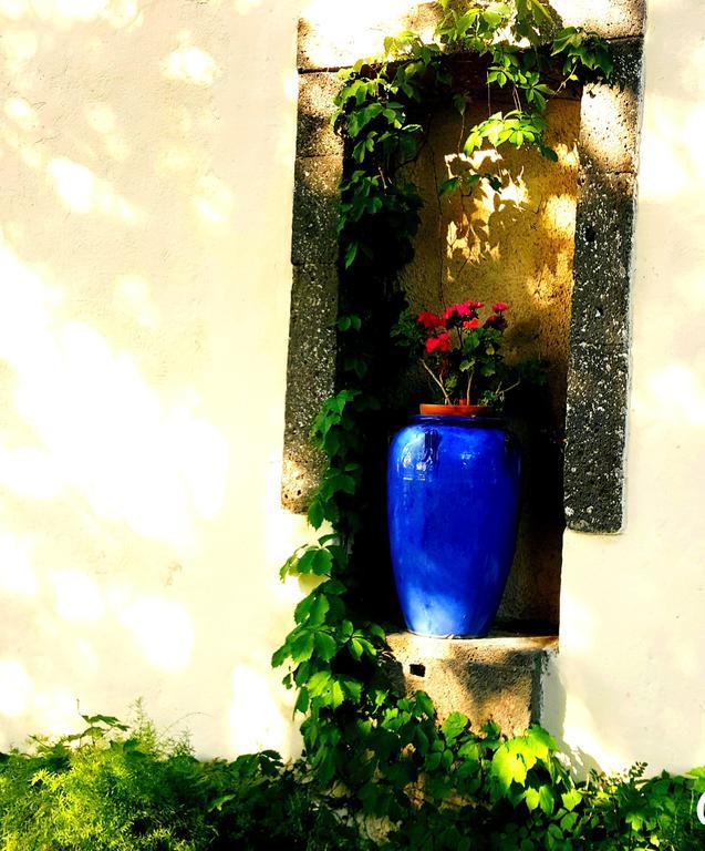 Les Jardins Du Patriarche Hotel Agde Exterior photo