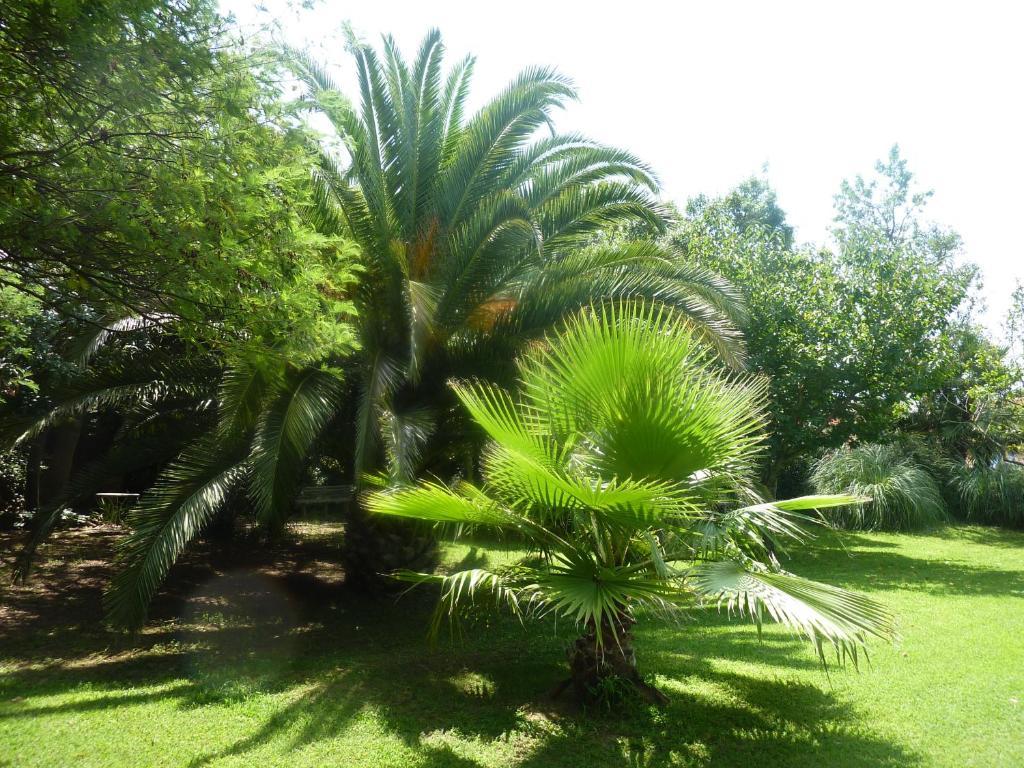 Les Jardins Du Patriarche Hotel Agde Exterior photo